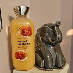 Bodycology Caramel Indulgence Body Wash - Gold